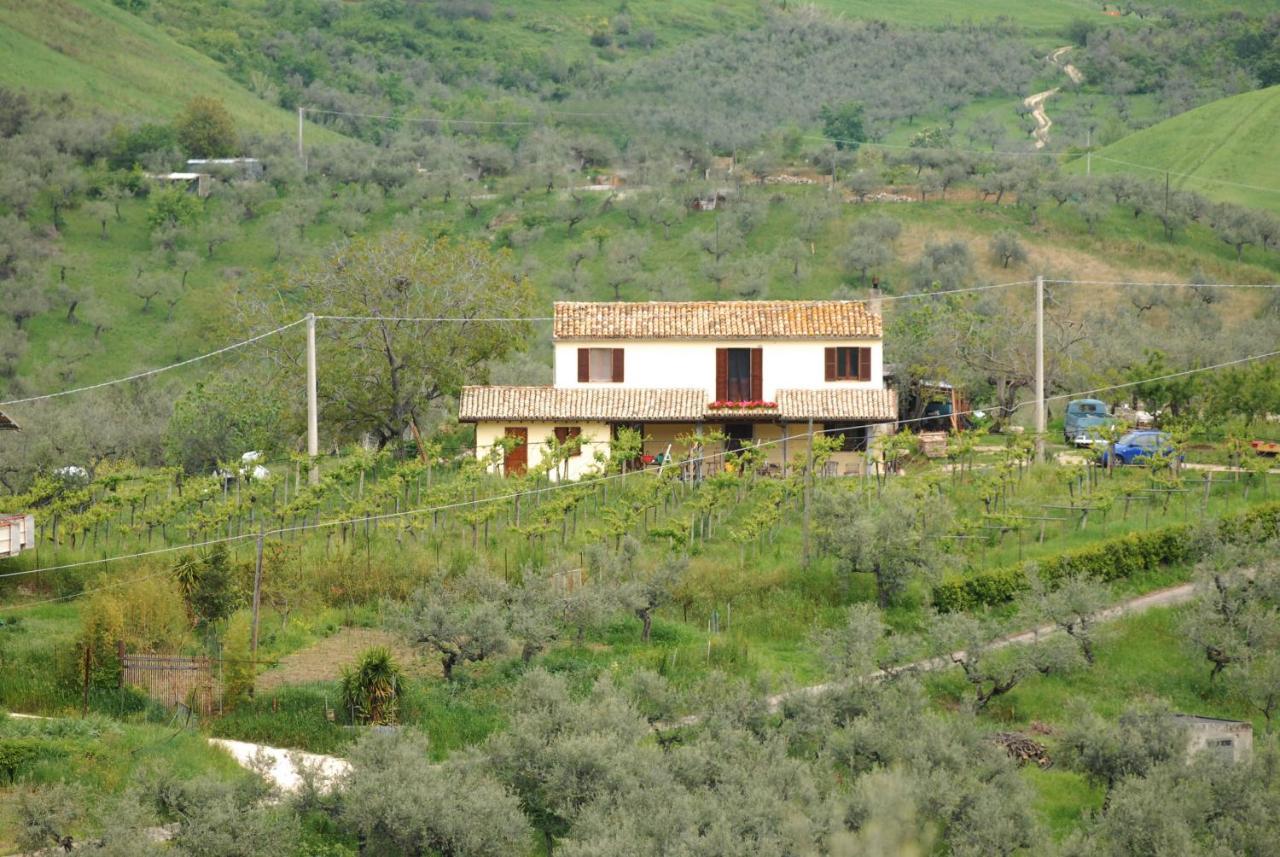 B&B Conca Del Pretore Loreto Aprutino Eksteriør bilde